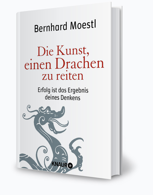 Die Kunst, einen Drachen zu reiten